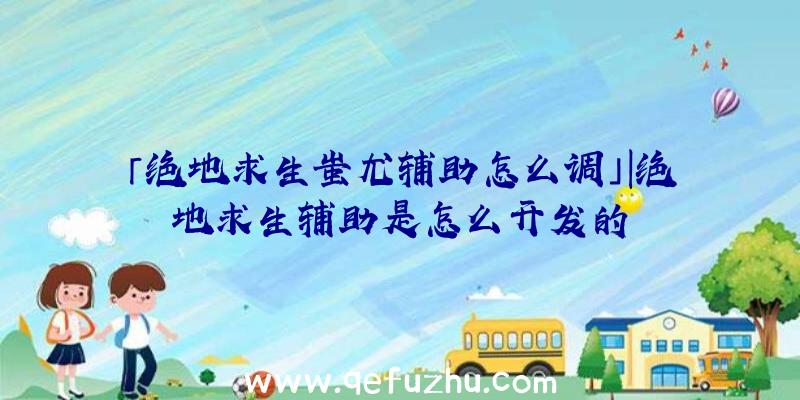 「绝地求生蚩尤辅助怎么调」|绝地求生辅助是怎么开发的